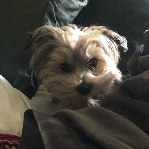 Meet your Posher, Edward